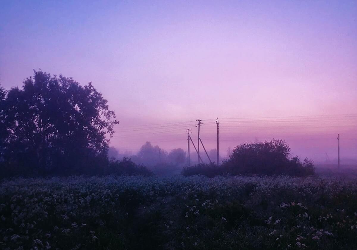 德甲：拜仁胜勒沃库森